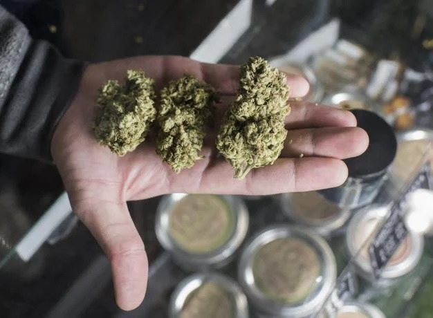 Autoridades Nueva York inician redadas por venta marihuana sin permiso