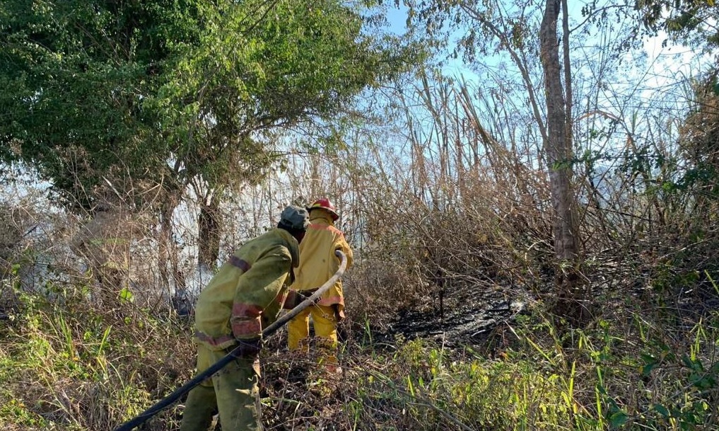 Medio Ambiente informa incendio forestal en Valle Nuevo está controlado