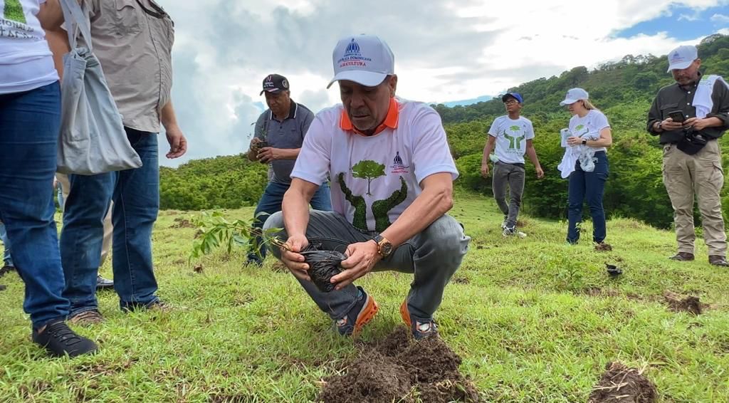 Ministerio de Agricultura siembra más de mil plantas en San Cristóbal